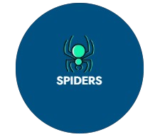 slider3-removebg-preview